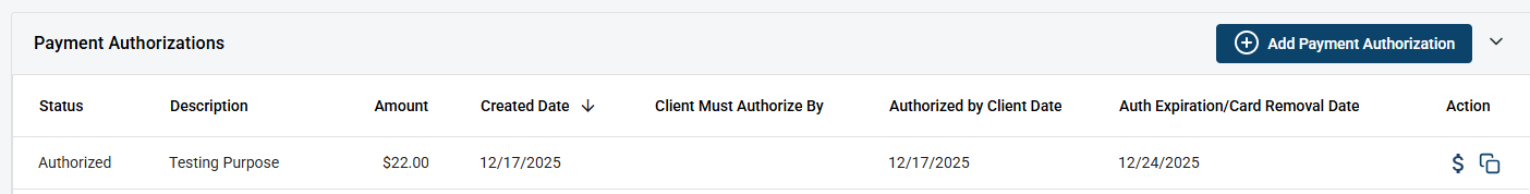 pay auth1.PNG